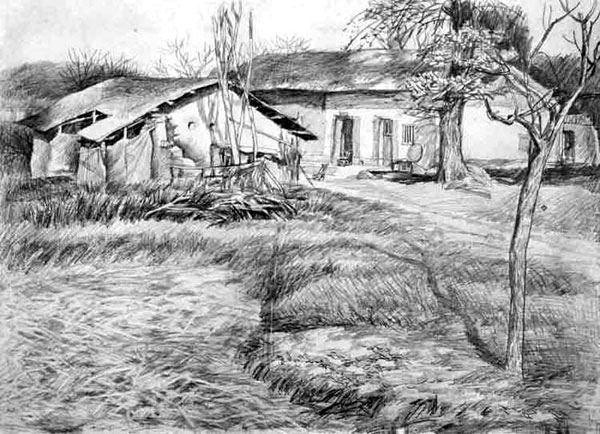 善良的养父养母