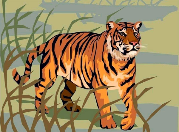 老虎和漏的故事