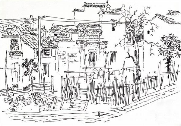 猪圈墙里的秘密