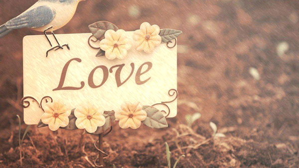 懂得平衡,爱情才能长久