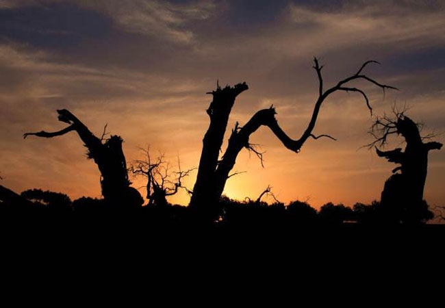 被卖进大山里的女人