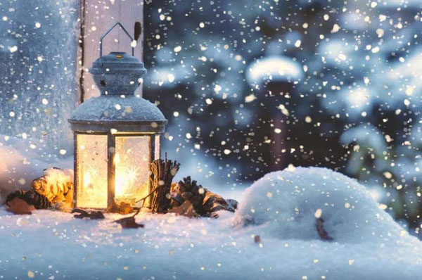 半晌倾心,一世钟情