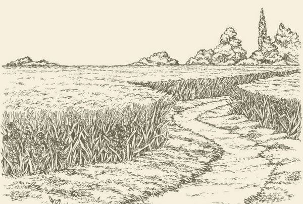 灵魂的归属配图