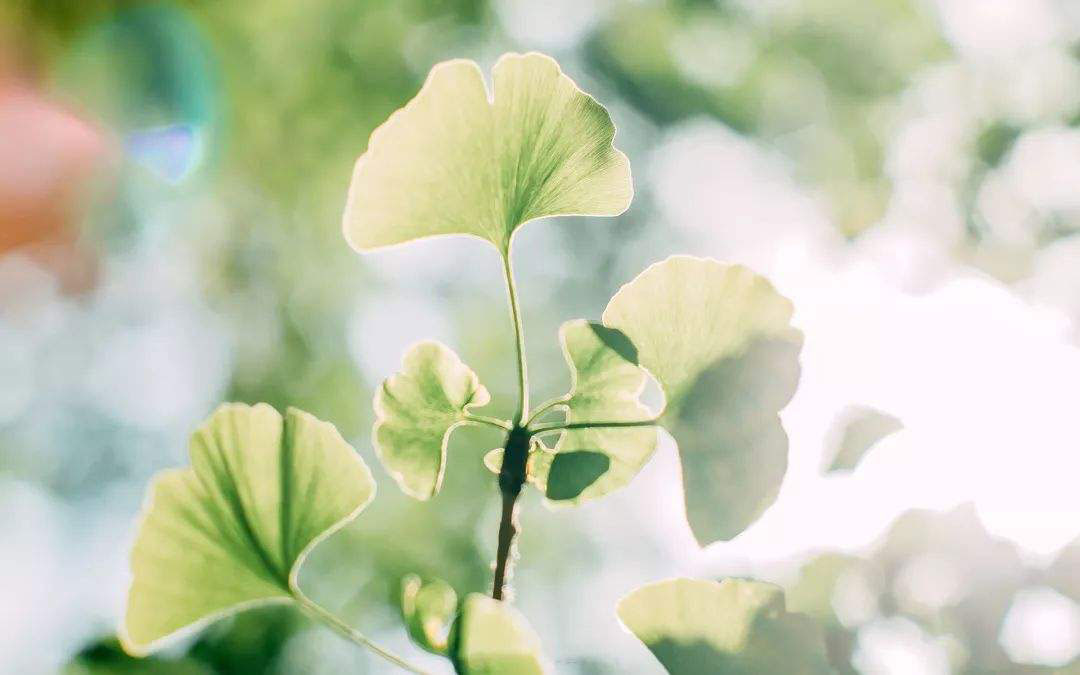 珍惜眼前人珍惜现在所拥有的一切-励志故事