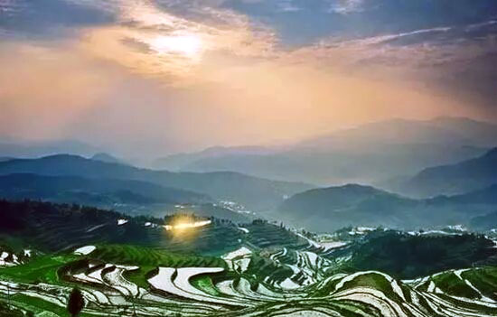 有得有失才是生活