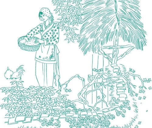 秀才娘子-民间故事