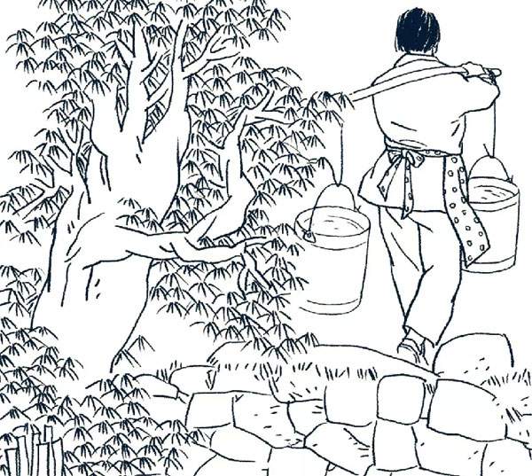 院墙上的豁口-民间故事