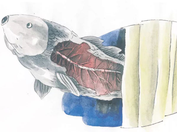 画里的半边鱼-传奇故事