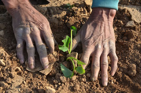 一个残疾老人自力更生自强不息的故事-励志故事