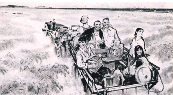 下放知青的故事