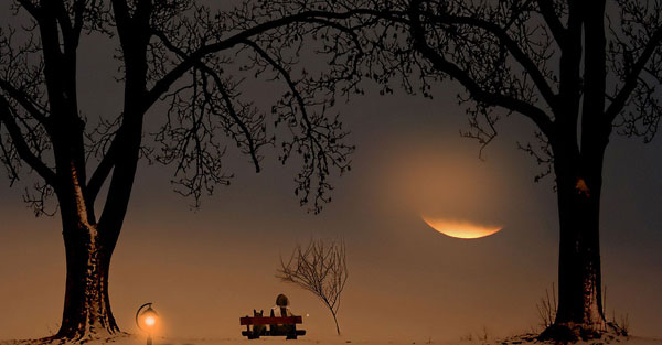 我不是你的那颗星