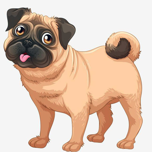 抗疫故事之可怜的巴比