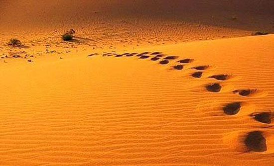 最初的目标是生命存在的意义和根据