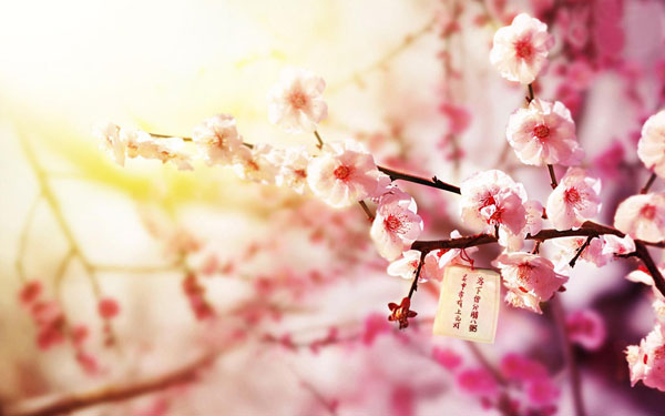 原来,爱有时会如此沉重