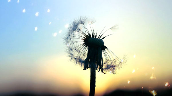 每个人都是潜力股，不要沉沦在失败的边缘