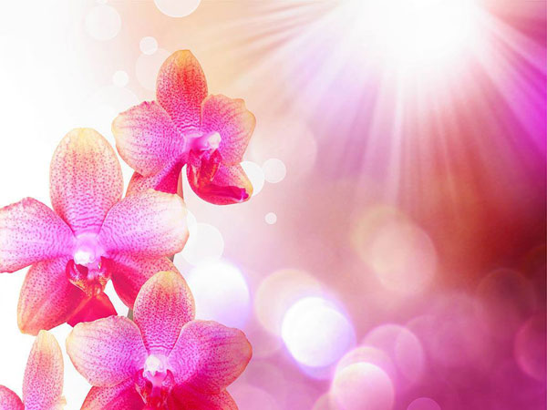 人有什么样的心态就有什么样的未来