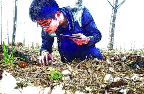 大学生村官的灾后救援