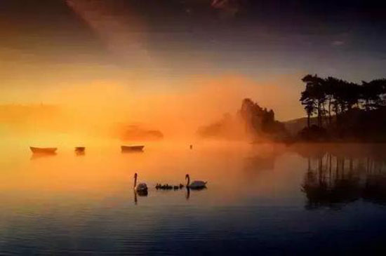 两个关于欲望的小故事