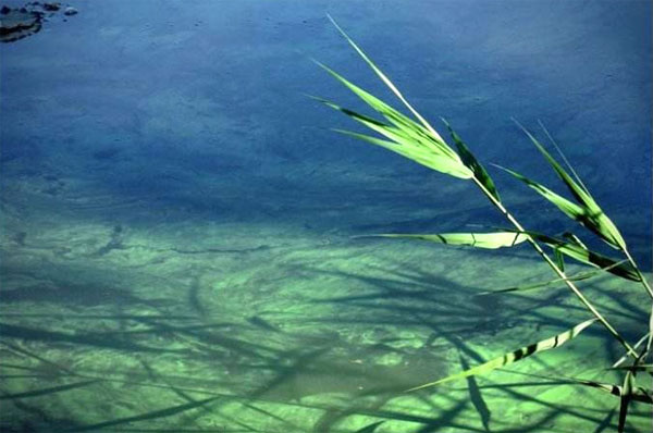 把工作当成修行,既能成就事又能成就人