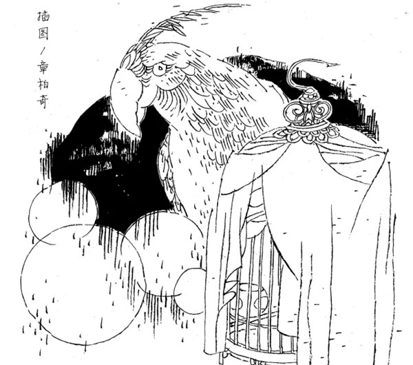 夺命鹦鹉-传奇故事