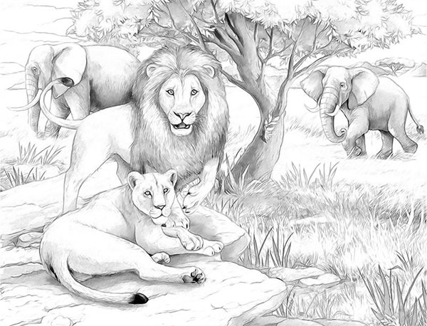 学会换个角度看待问题-励志故事