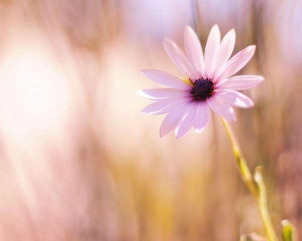 人生就是一个饱经沧桑历经磨砺的过程