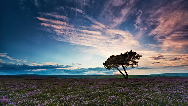 没有人可以逼我们放弃梦想,除了我们自己