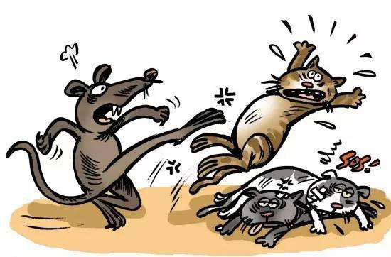 内心强大才是真正的强大-励志故事