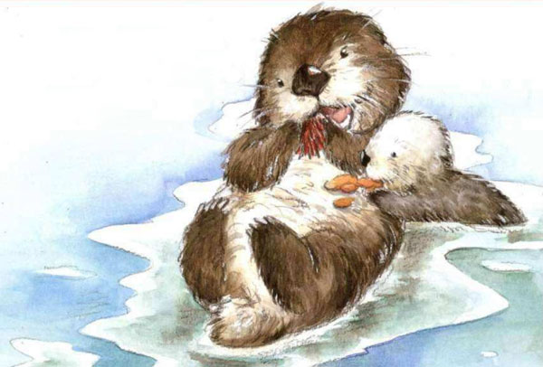 母爱伟大的故事之海獭喂奶