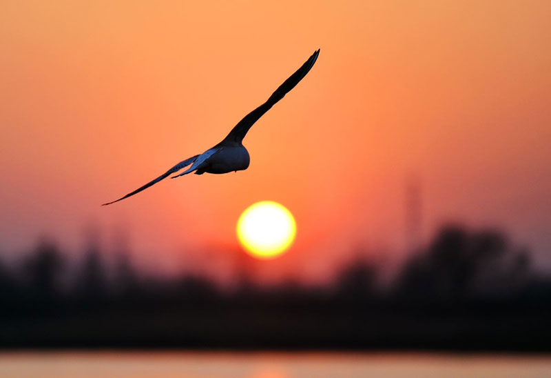 放宽心坚持下去,也许转角就是光明-励志故事