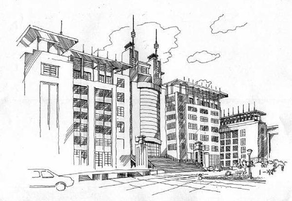 苦菜花也有春天